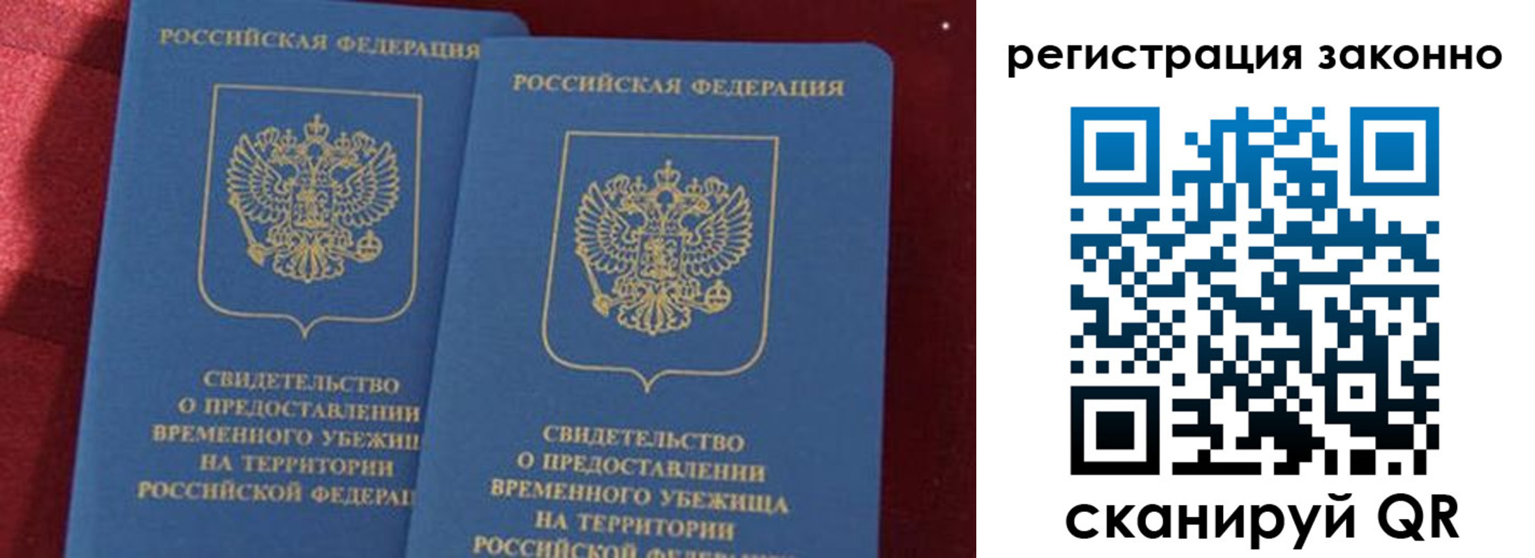 прописка в Коле